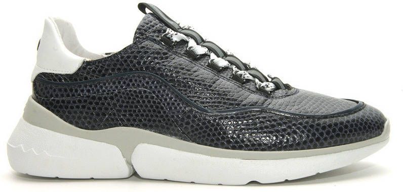 Floris van Bommel 85303