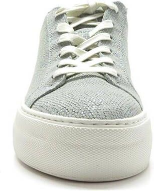 Floris Van Bommel Blauwe Lage Sneakers Sfw 10059