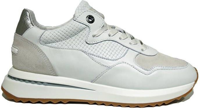 Floris van Bommel 85351 sfw 10065