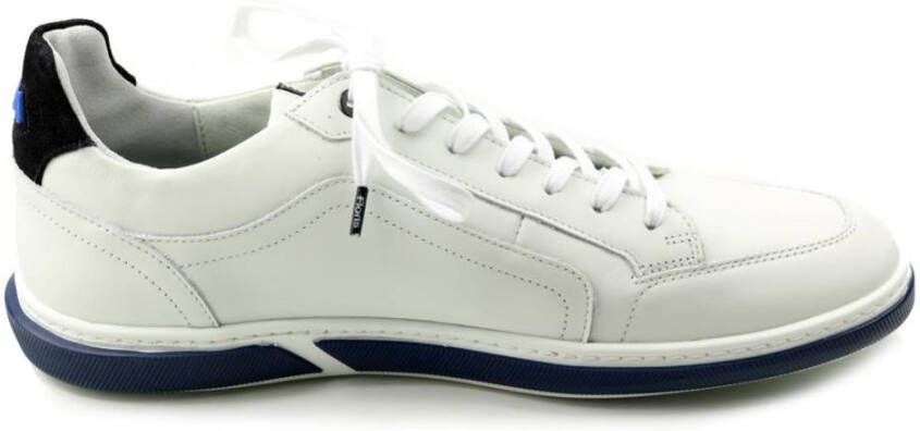 Floris van Bommel Sfm 10202 terri sneaker