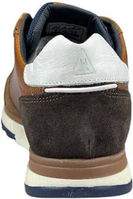 Gaastra sneakers 2212 479502 , Bruin, Heren