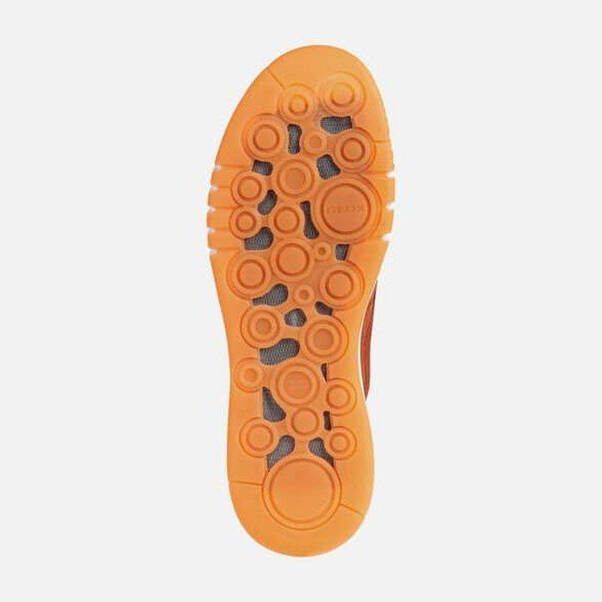 Geox Sneakers