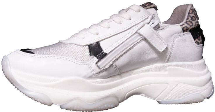 Giga Shoes g3666