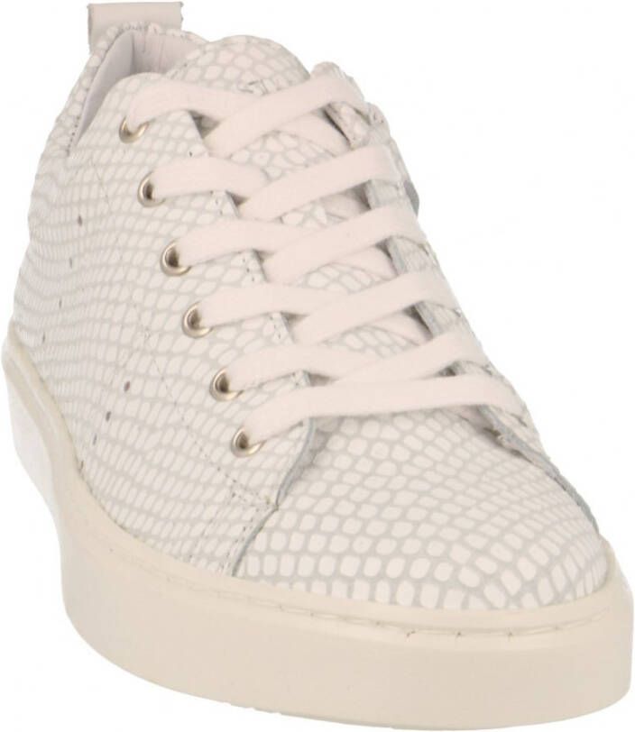 Giga Sneakers