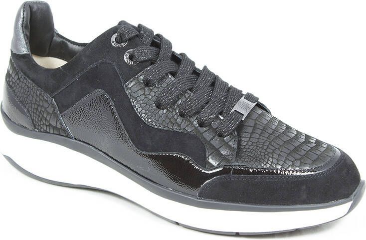 HASSIA 0 301173 wijdte h