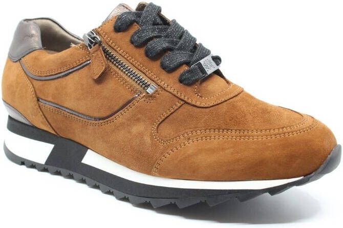 HASSIA 0 302022 wijdte h