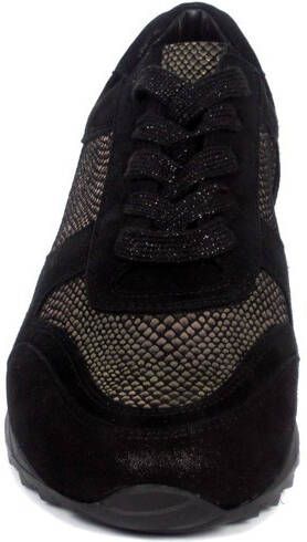 HASSIA 2 301924 wijdte h