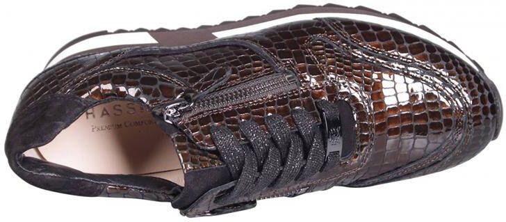 HASSIA 2 302027 wijdte h