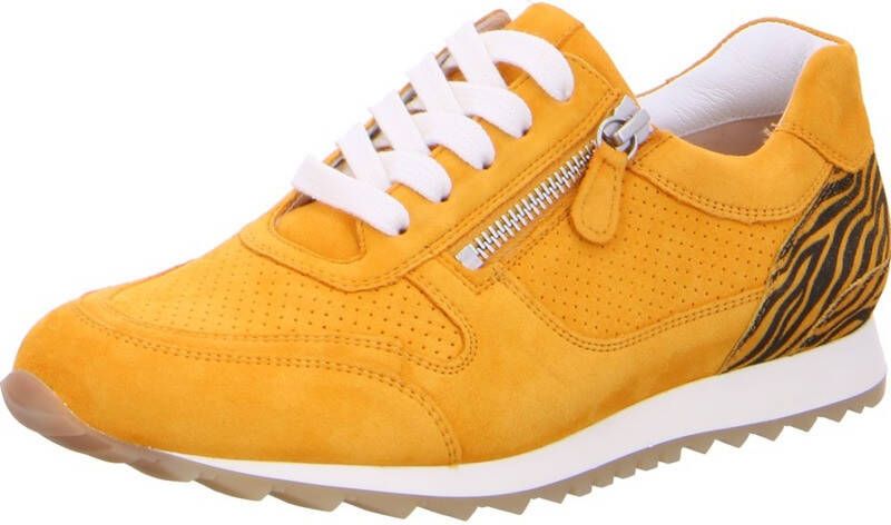 HASSIA 9 301917 wijdte h