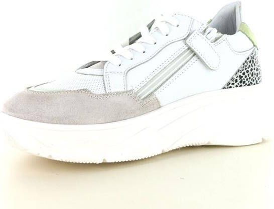 Hip H1580 White Green Lage sneakers