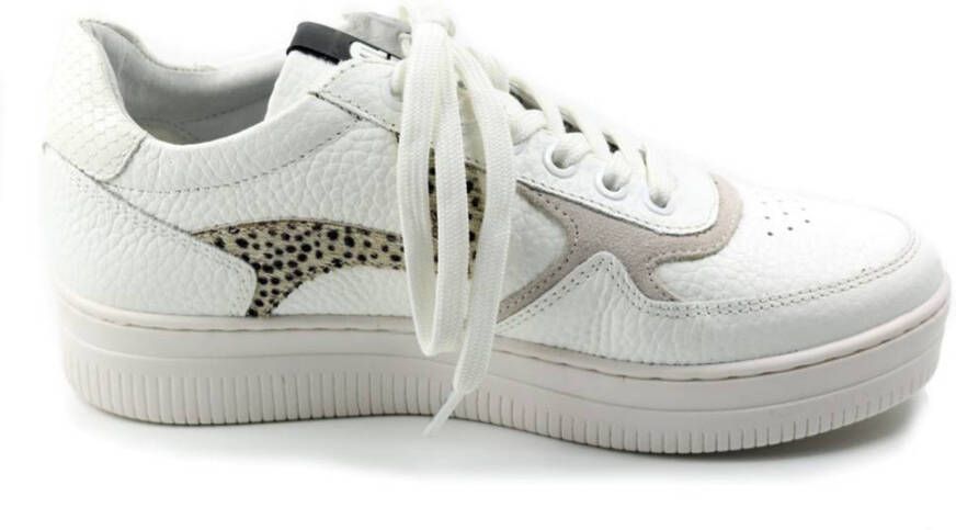 Maruti 66.1524.01 momo sneaker