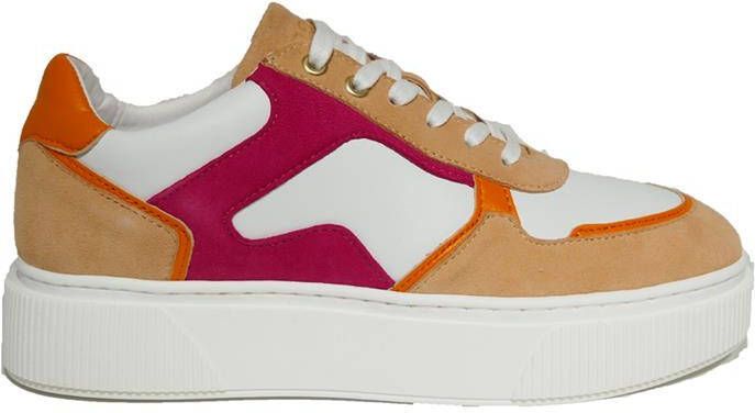 Cycleur de luxe Cadance