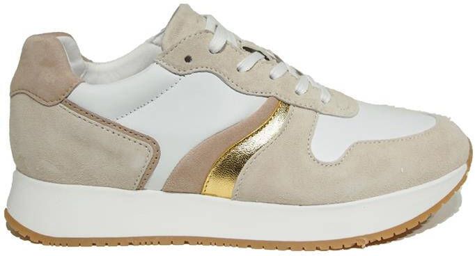 Cycleur de luxe Malga