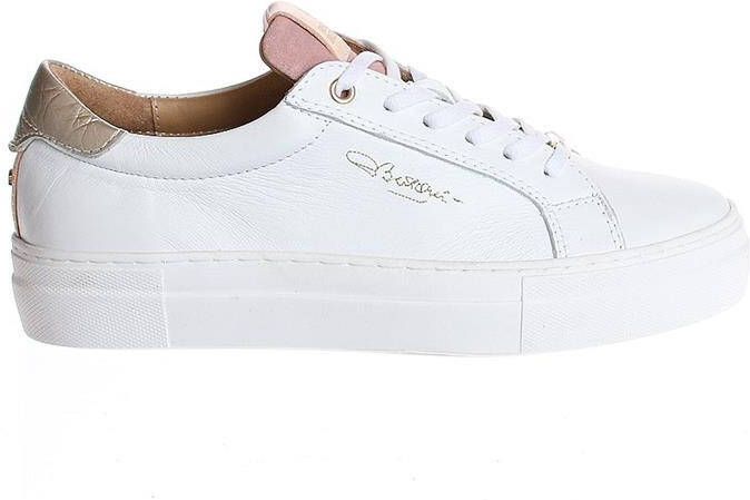 Fred de la bretoniere 101010479